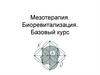 Мезотерапия. Биоревитализация. Базовый курс