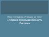 Лесная промышленность России. Урок географии в 9 классе