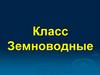 Класс Земноводные