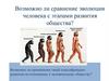 Возможно ли сравнение эволюции человека с этапами развития общества?