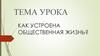 Как устроена общественная жизнь?