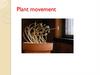 Plant movement