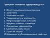 Принципы уголовного судопроизводства