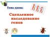 Сцепленное наследование генов