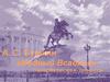 А.С. Пушкин «Медный Всадник». Петербургская повесть