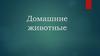 Домашние животные