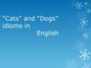 “Cats” and “Dogs” idioms in English