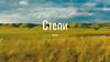 Степи