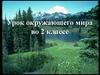 Какие бывают растения? Урок окружающего мира во 2 классе