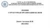 Структурная организация белков