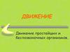 Движение простейших и беспозвоночных организмов
