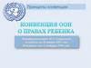 Принципы конвенции. Конвенция ООН о правах ребенка
