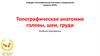 Топографическая анатомия головы, шеи, груди
