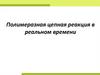 Полимеразная цепная реакция в реальном времени