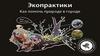Экопрактики. Как помочь природе в городе