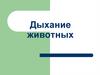 Дыхание животных