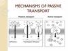 Mechanisms of passive transport