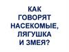 Как говорят насекомые, лягушка и змея?