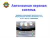 Автономная нервная система
