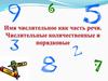 Имя числительное как часть речи. Числительные количественные и порядковые