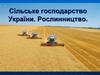 Сільське господарство України. Рослинництво