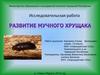 Развитие мучного хрущака. Исследовательская работа