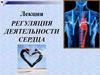 Регуляция деятельности сердца