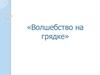 «Волшебство на грядке». Формирование у детей представления об овощах, как о полезных продуктах