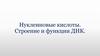 Нуклеиновые кислоты. Строение и функции ДНК