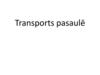 Transports pasaulē