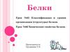 Классификация и уровни организации (структуры) белков. Химические свойства белков. Урок №65-66