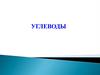 Углеводы. Функции углеводов