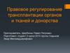 Правовое регулирование трансплантации органов и тканей и донорства
