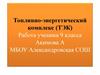 Топливно-энергетический комплекс (ТЭК)