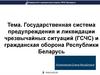 Государственная система предупреждения и ликвидации чрезвычайных ситуаций (ГСЧС)