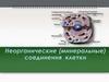 Неорганические (минеральные) соединения клетки  ( 10 класс)