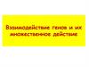 Взаимодействие генов и их множественное действие
