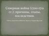 Северная война (1700-1721 гг.): причины, этапы, последствия