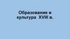 Образование и культура XVIII в