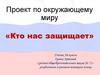 Кто нас защищает