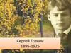 Сергей Есенин. 1895-1925 гг