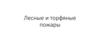 Лесные и торфяные пожары