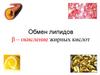 Обмен липидов: β – окисление жирных кислот