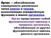 О́рган - обособленная совокупность различных типов клеток и тканей, выполняющая определённую функцию в живом организме