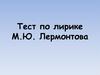 Тест по лирике М.Ю. Лермонтова. В стихотворении «Парус»