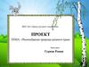 Разнообразие природы родного края