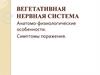 Вегетативная нервная система. Анатомо-физиологические особенности. Симптомы поражения