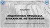 Эндогенные процессы. Вулканизм. Метаморфизм  (лекция № 4)