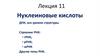 Нуклеиновые кислоты