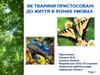 Як тварини пристосовані до життя в різних умовах